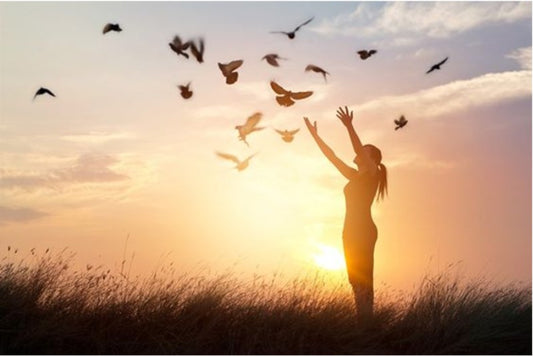 Woman in field reaching out to birds during a sunrise/sunset