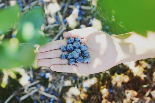 Person holding blueberries