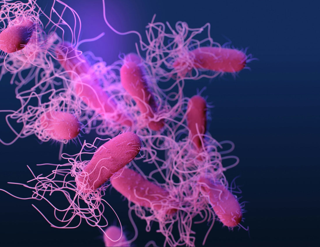 Probiotics and Prebiotics: The Emerging Frontier in Sensitive Skin Care